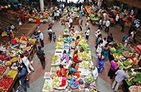 Panjim Market